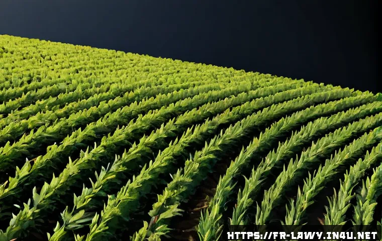 Master en droit et accès au barreau : quel parcours choisir et quand investir dans une préparation ? 4 법학 석사와 변호사 자격증의 연계성 관련 이미지 2